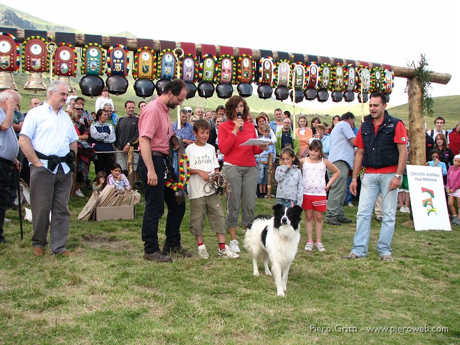 canipastore 130.jpg - Orgogliosi entrambi, cane e giovane guida